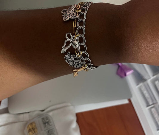 Grace Fusion Charm Bracelet (link)