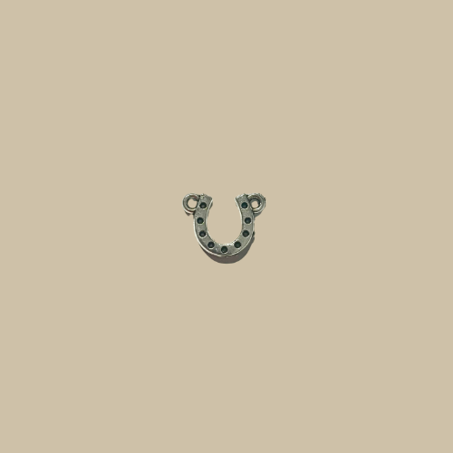 Horse shoe charm