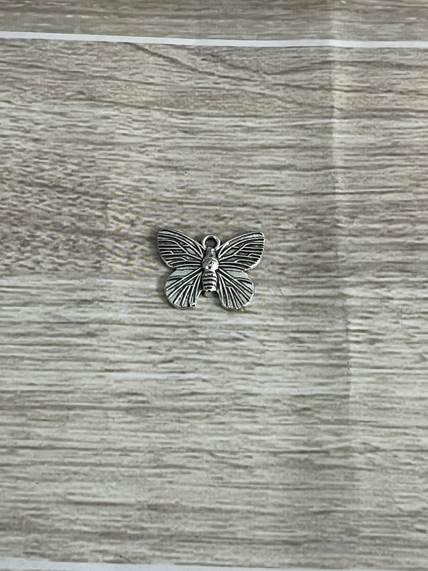 Metamorphosis Butterfly Charm